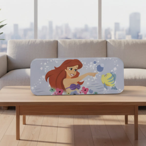 Character Metal Storage Case – Assorted Designs